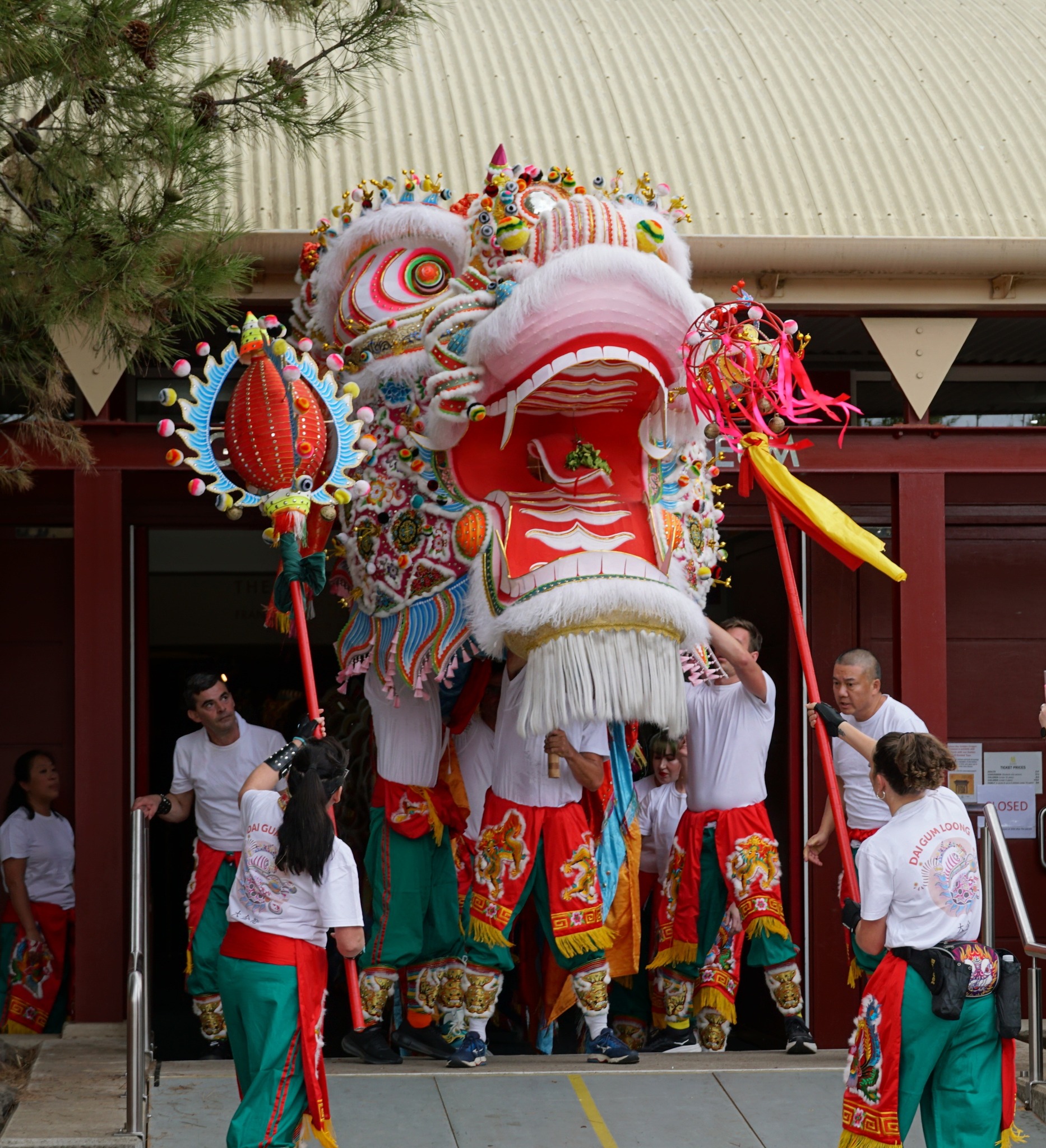 Golden Dragon Museum 金龙博物馆 Banner