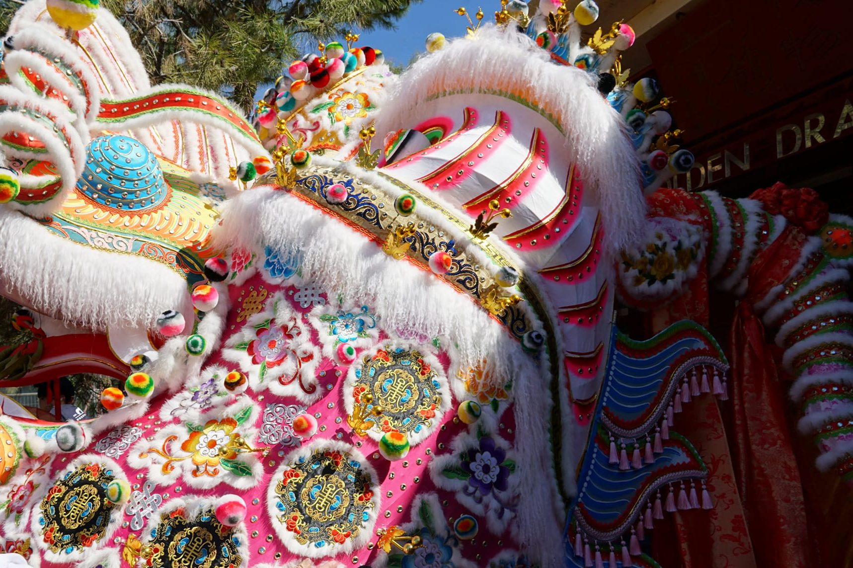 Golden Dragon Museum 金龙博物馆 Banner