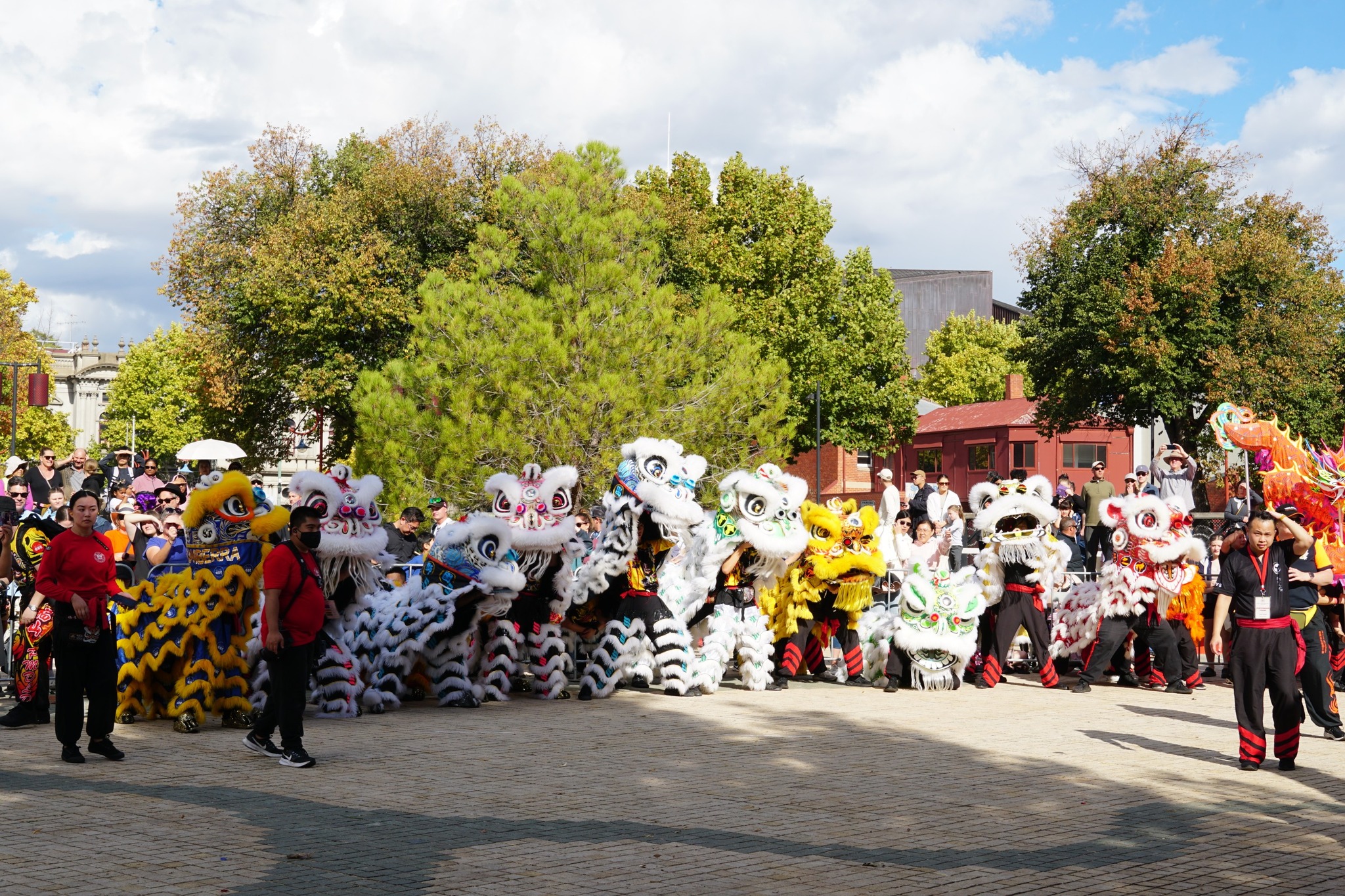 Golden Dragon Museum 金龙博物馆 Banner