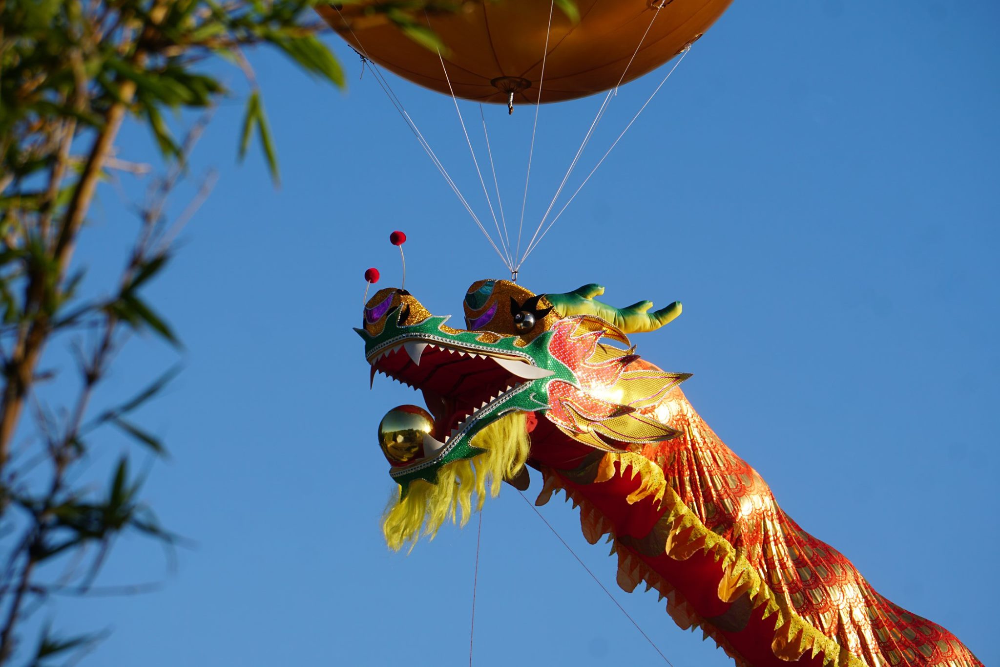 Golden Dragon Museum 金龙博物馆 Banner